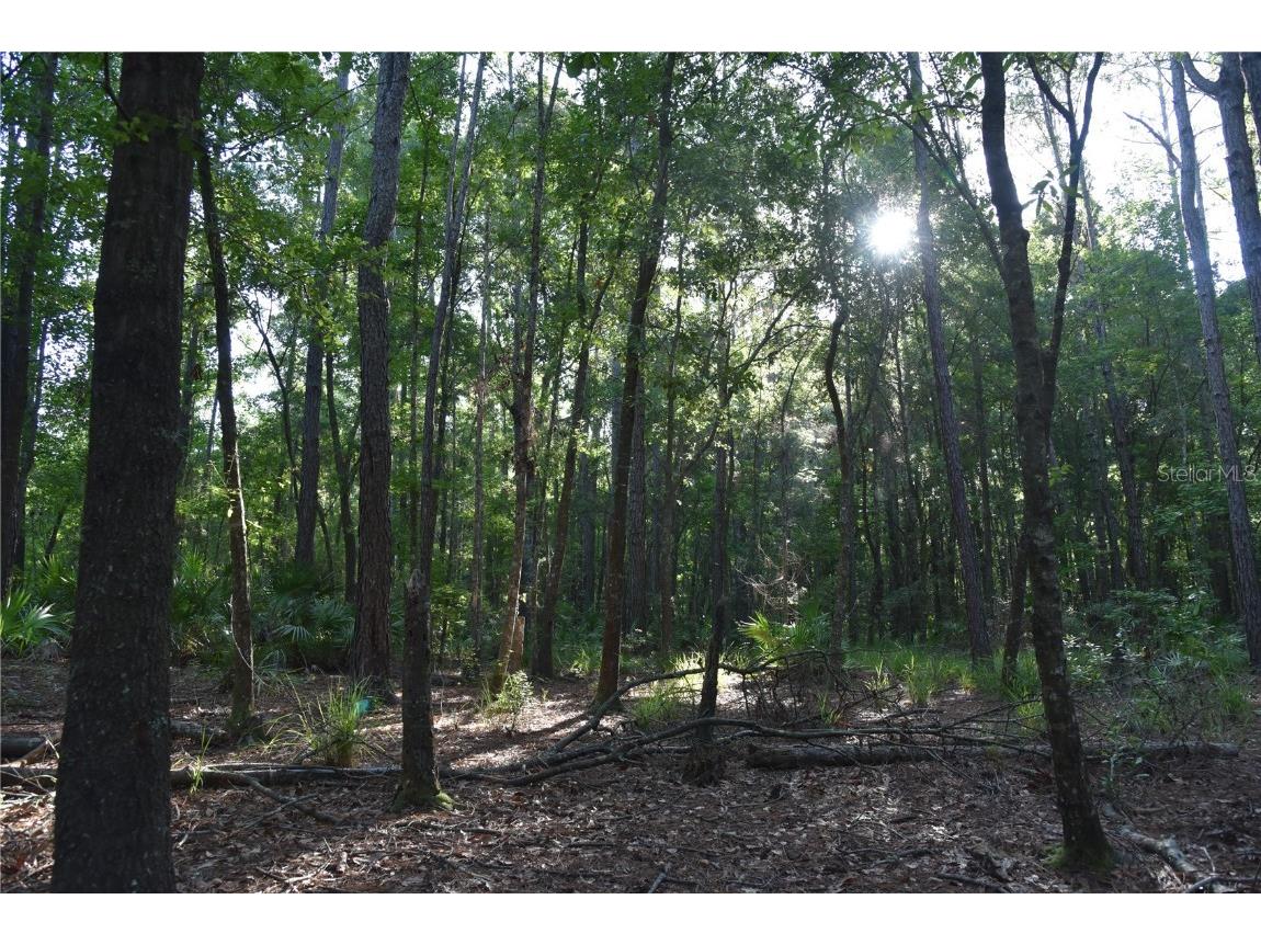 Off Ne 67 Th Ave Gainesville FL 32609 OM704545 image64