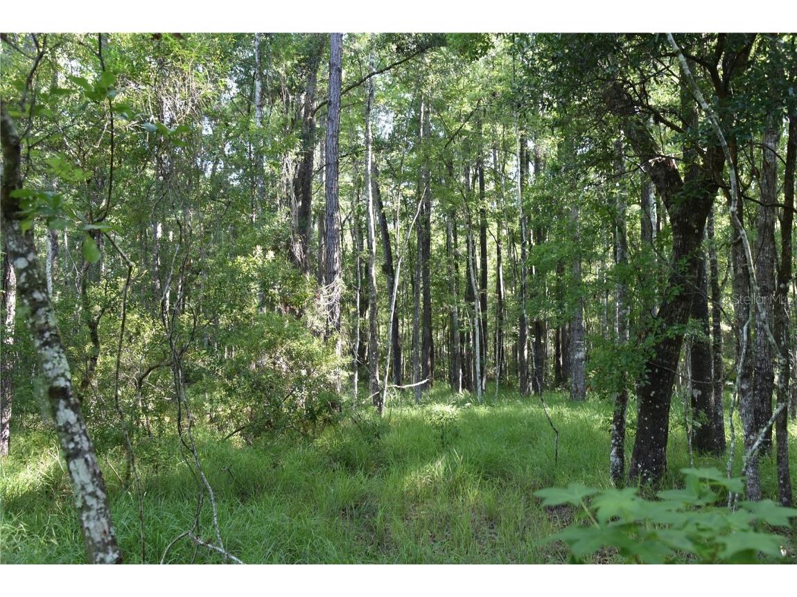 Off Ne 67 Th Ave Gainesville FL 32609 OM704545 image65