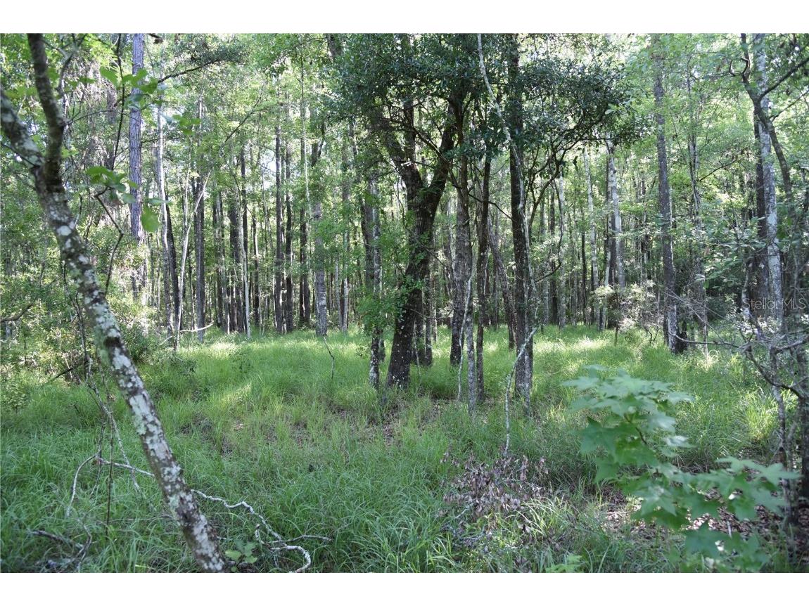 Off Ne 67 Th Ave Gainesville FL 32609 OM704545 image66