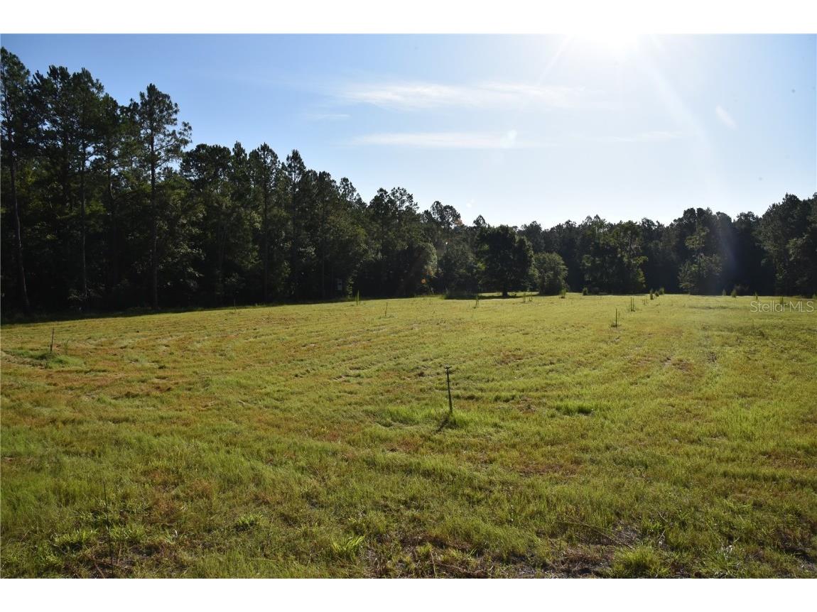 Off Ne 67 Th Ave Gainesville FL 32609 OM704545 image67