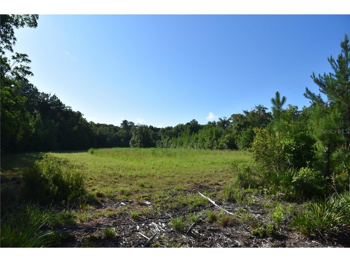 Off Ne 67 Th Ave Gainesville FL 32609 OM704545 image68