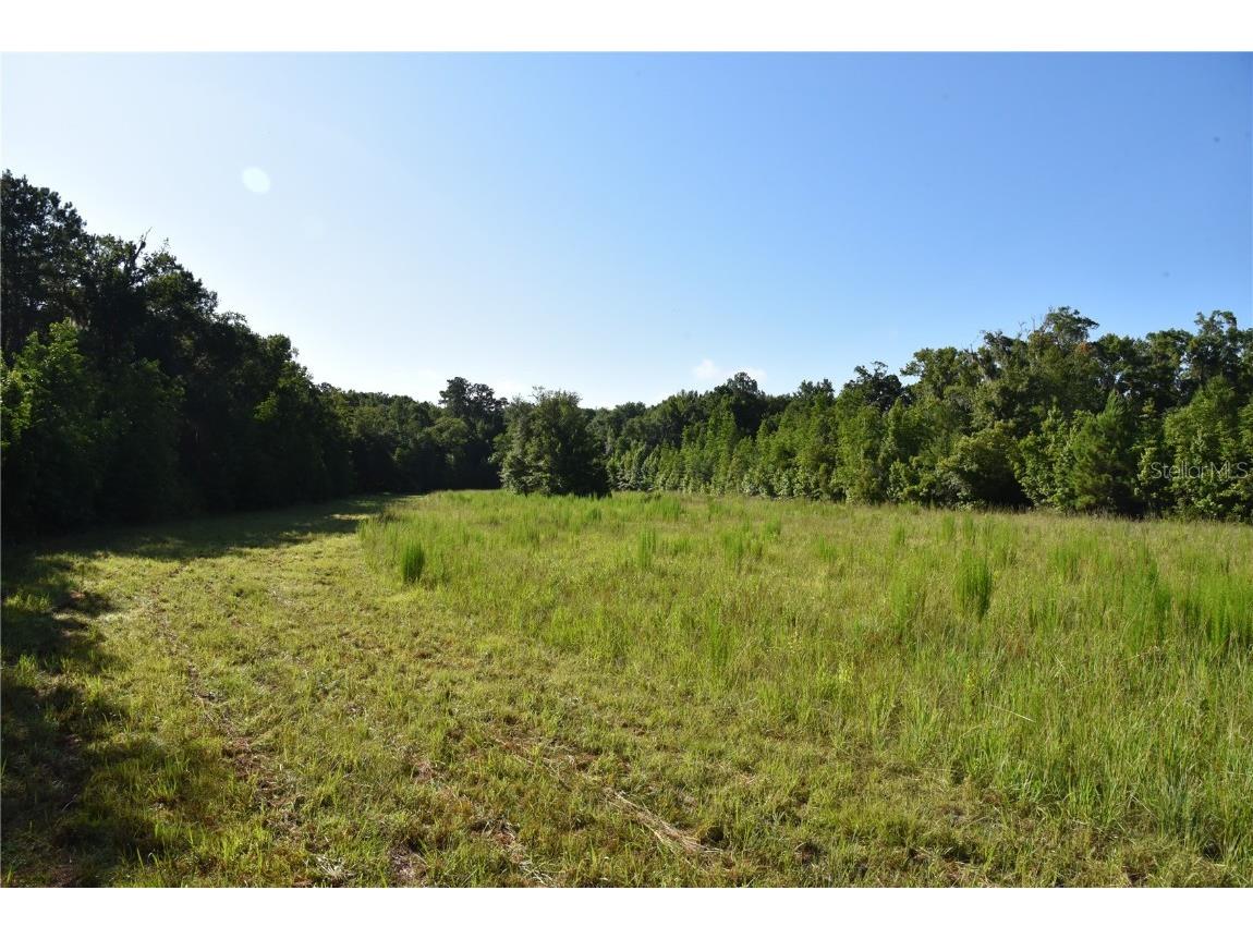 Off Ne 67 Th Ave Gainesville FL 32609 OM704545 image69