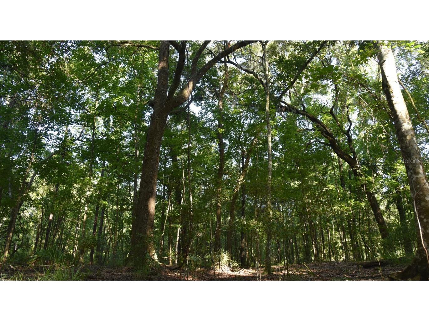 Off Ne 67 Th Ave Gainesville FL 32609 OM704545 image7