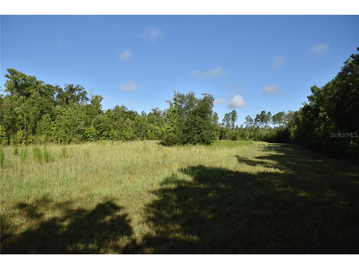 Off Ne 67 Th Ave Gainesville FL 32609 OM704545 image70