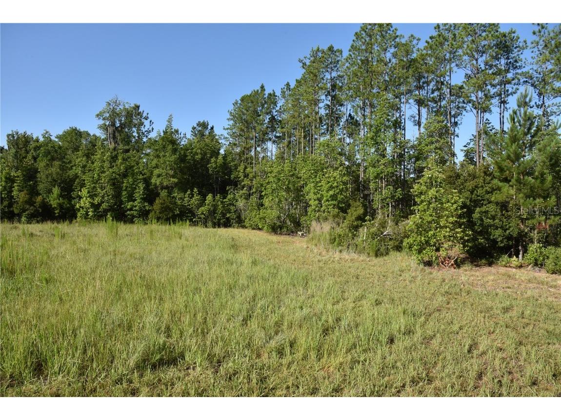 Off Ne 67 Th Ave Gainesville FL 32609 OM704545 image71