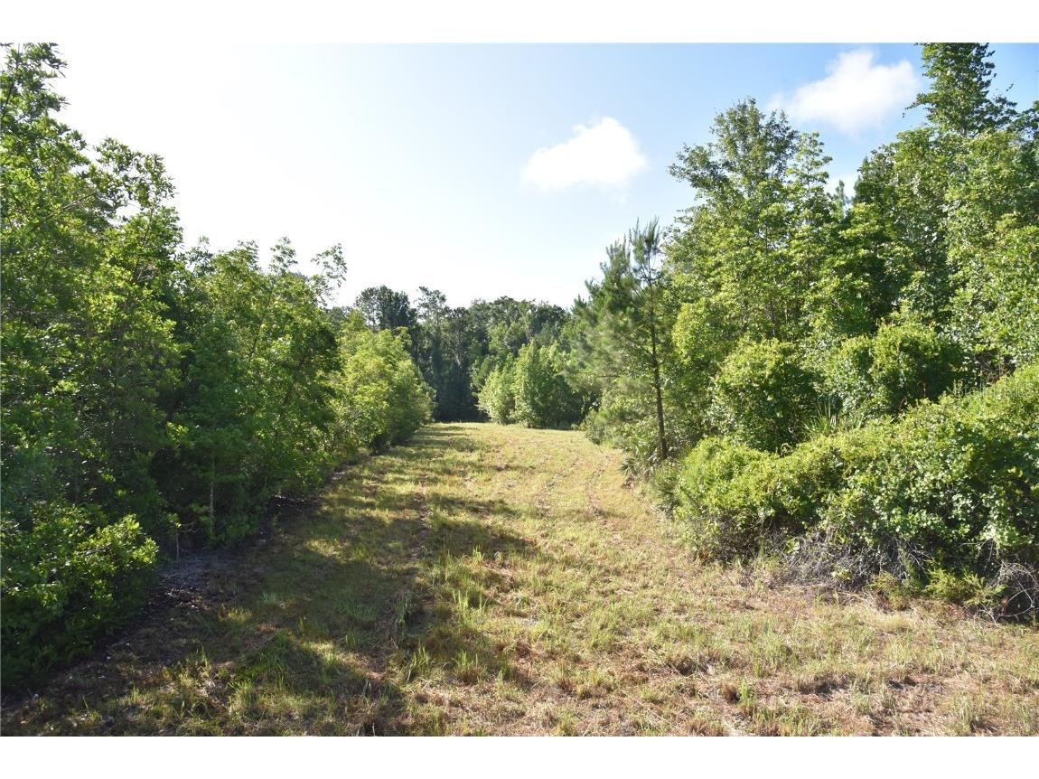 Off Ne 67 Th Ave Gainesville FL 32609 OM704545 image72