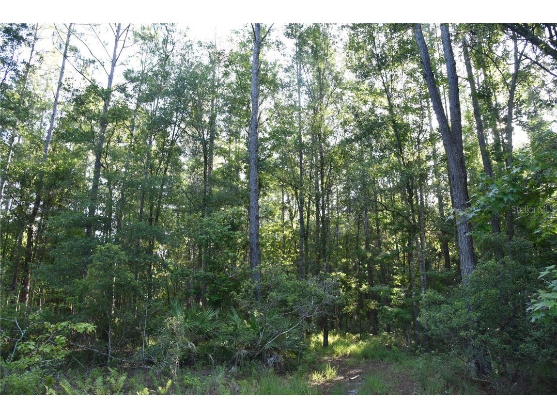 Off Ne 67 Th Ave Gainesville FL 32609 OM704545 image73