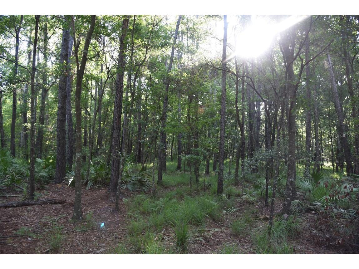 Off Ne 67 Th Ave Gainesville FL 32609 OM704545 image74