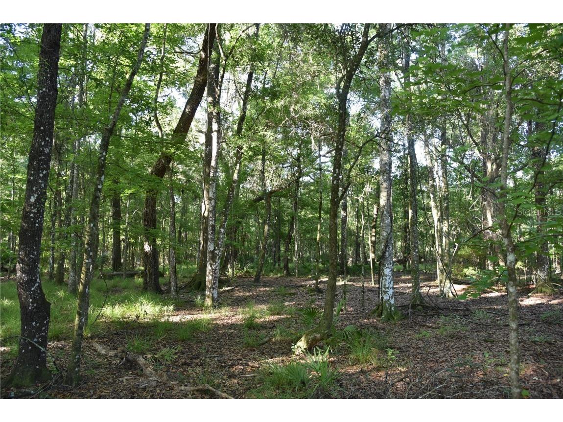 Off Ne 67 Th Ave Gainesville FL 32609 OM704545 image77