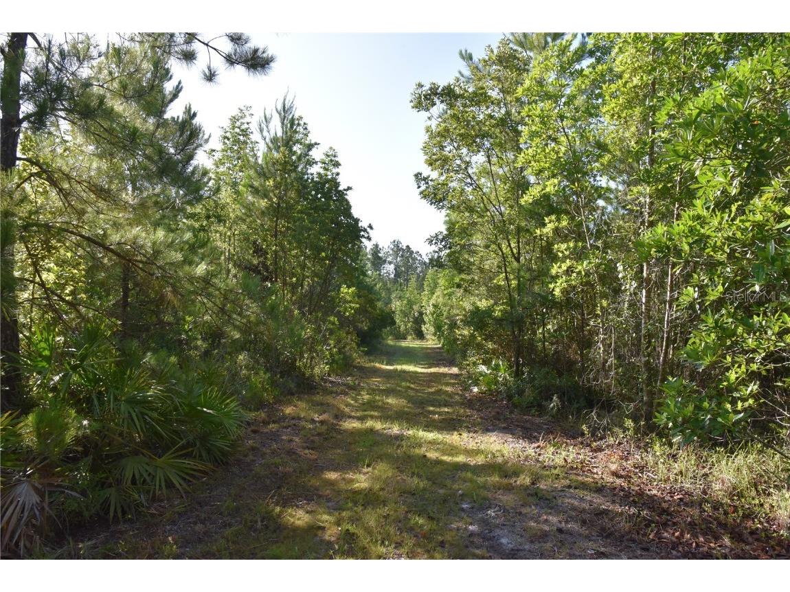 Off Ne 67 Th Ave Gainesville FL 32609 OM704545 image78