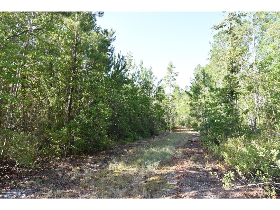 Off Ne 67 Th Ave Gainesville FL 32609 OM704545 image79