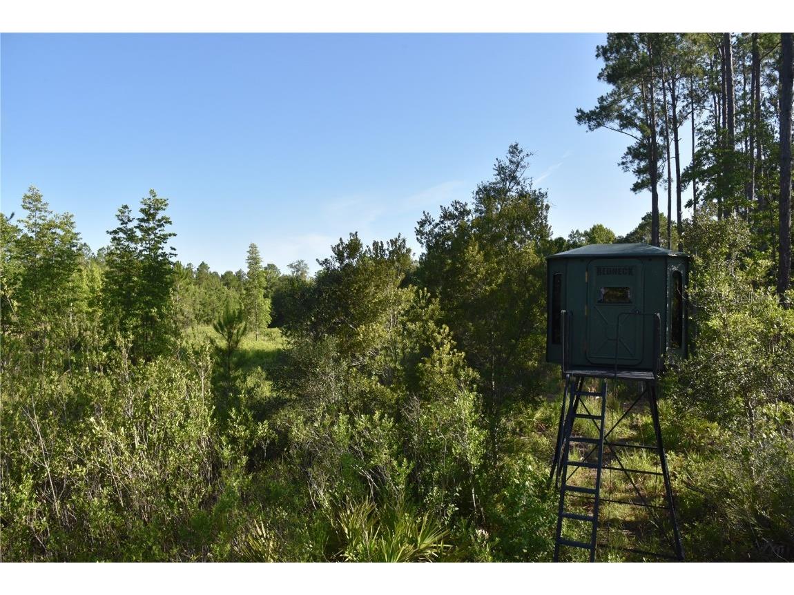 Off Ne 67 Th Ave Gainesville FL 32609 OM704545 image8