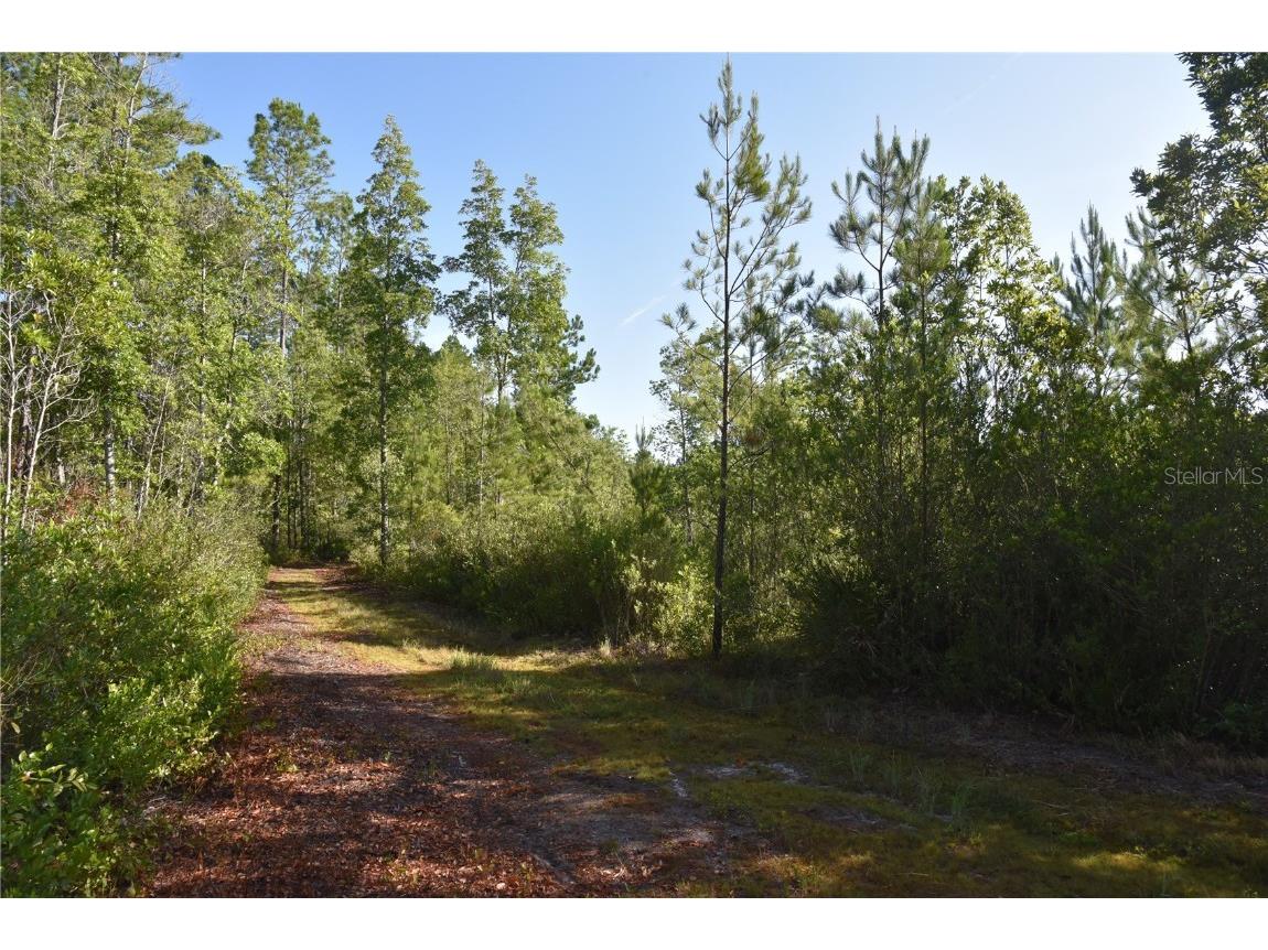 Off Ne 67 Th Ave Gainesville FL 32609 OM704545 image80