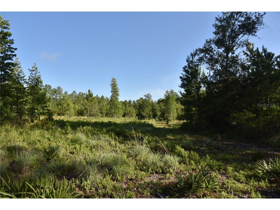 Off Ne 67 Th Ave Gainesville FL 32609 OM704545 image81