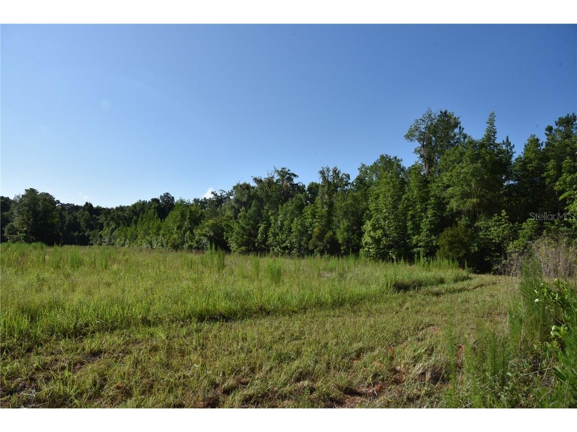 Off Ne 67 Th Ave Gainesville FL 32609 OM704545 image82