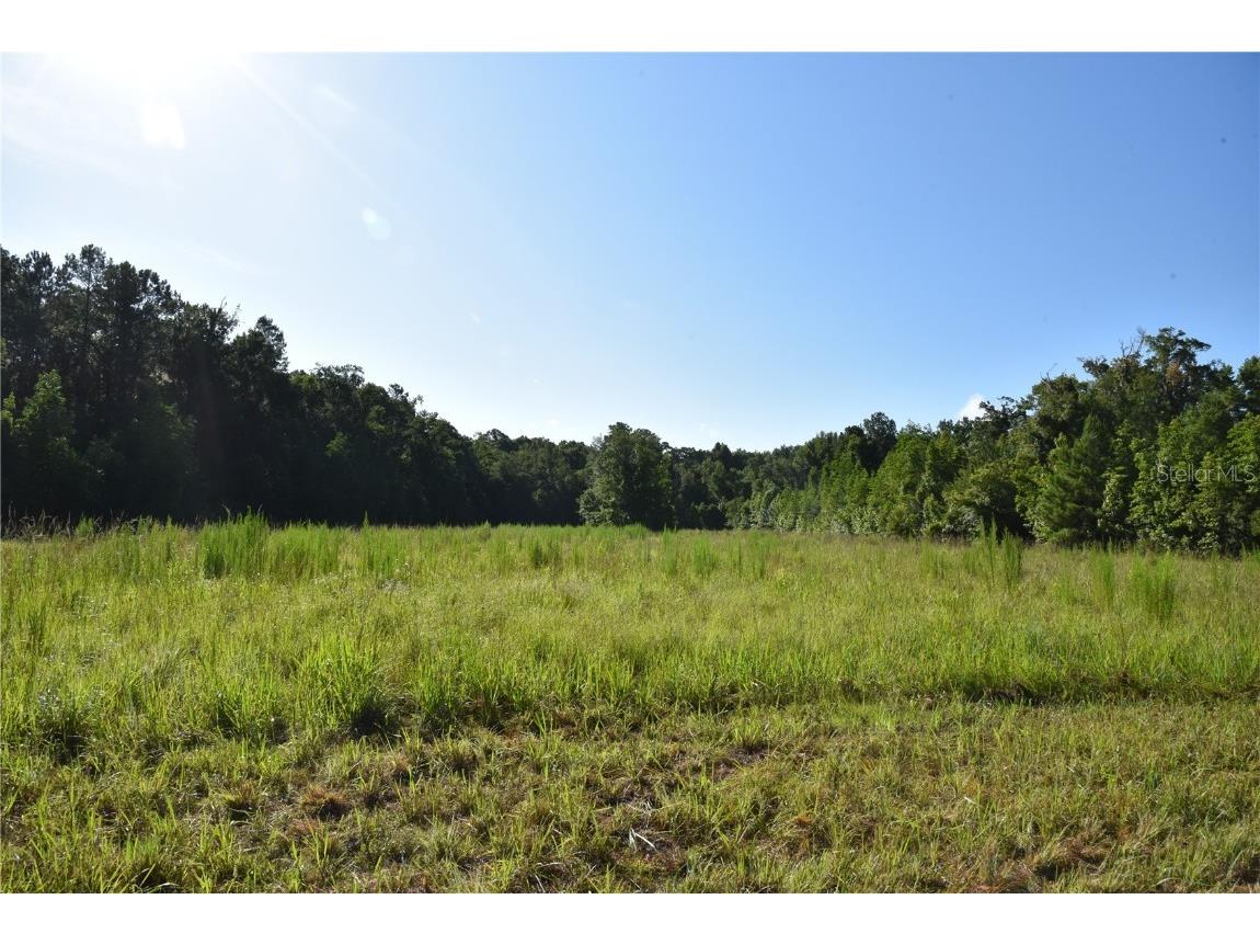 Off Ne 67 Th Ave Gainesville FL 32609 OM704545 image83