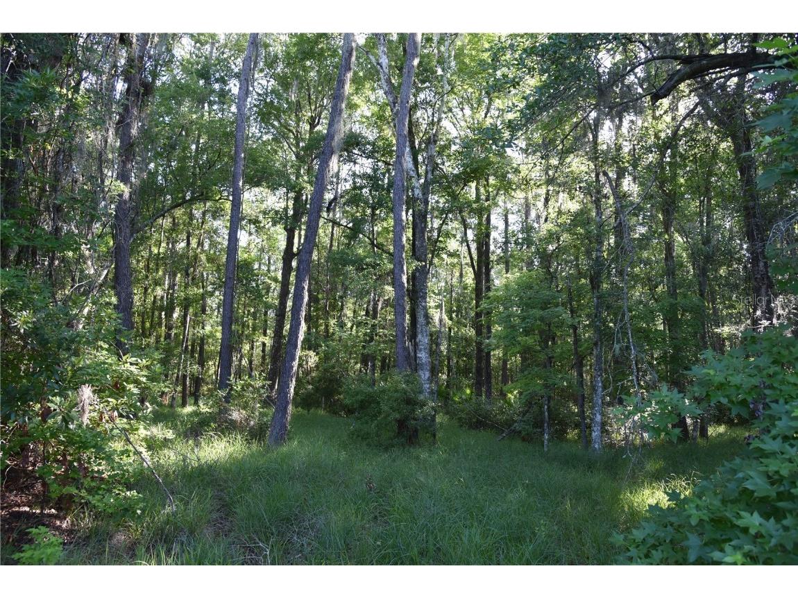 Off Ne 67 Th Ave Gainesville FL 32609 OM704545 image84