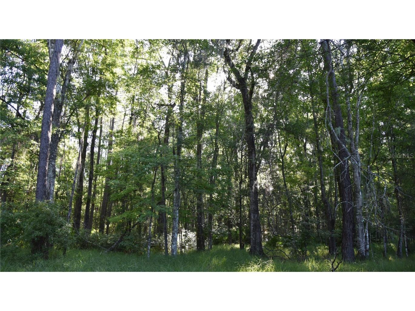 Off Ne 67 Th Ave Gainesville FL 32609 OM704545 image85