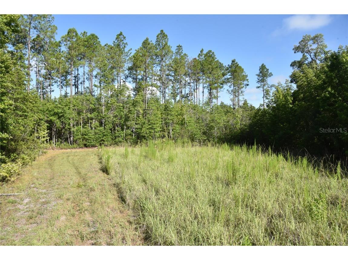 Off Ne 67 Th Ave Gainesville FL 32609 OM704545 image86