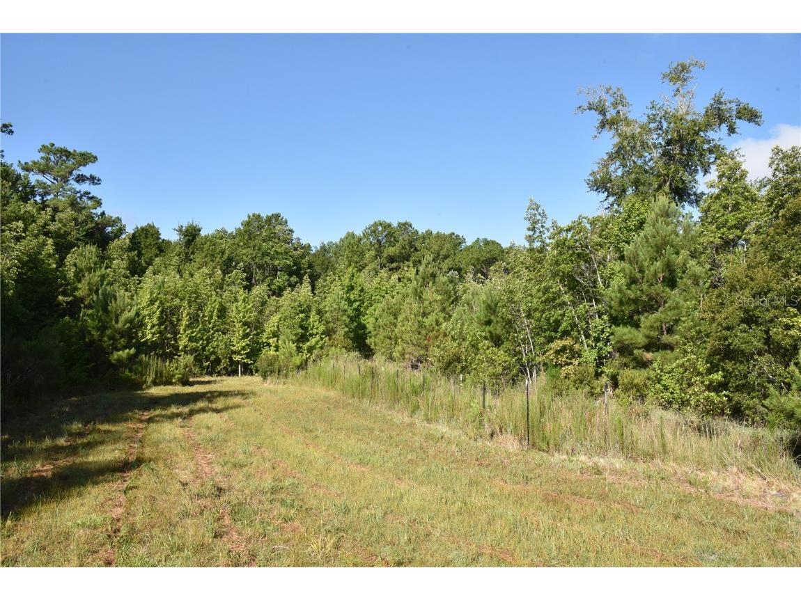 Off Ne 67 Th Ave Gainesville FL 32609 OM704545 image87