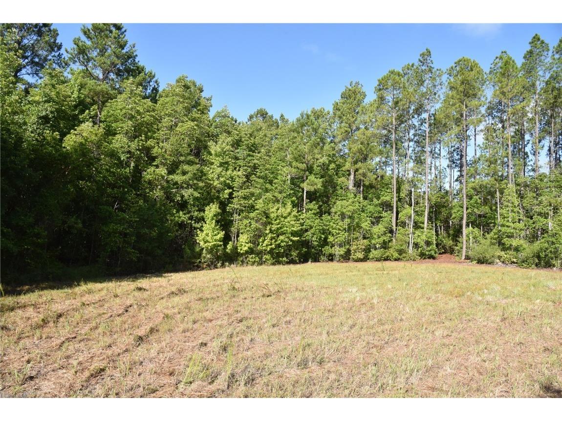 Off Ne 67 Th Ave Gainesville FL 32609 OM704545 image88