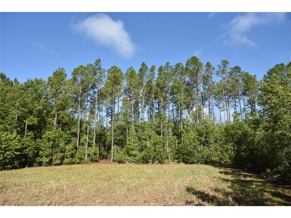 Off Ne 67 Th Ave Gainesville FL 32609 OM704545 image89