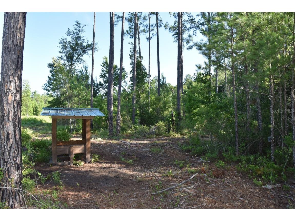 Off Ne 67 Th Ave Gainesville FL 32609 OM704545 image9