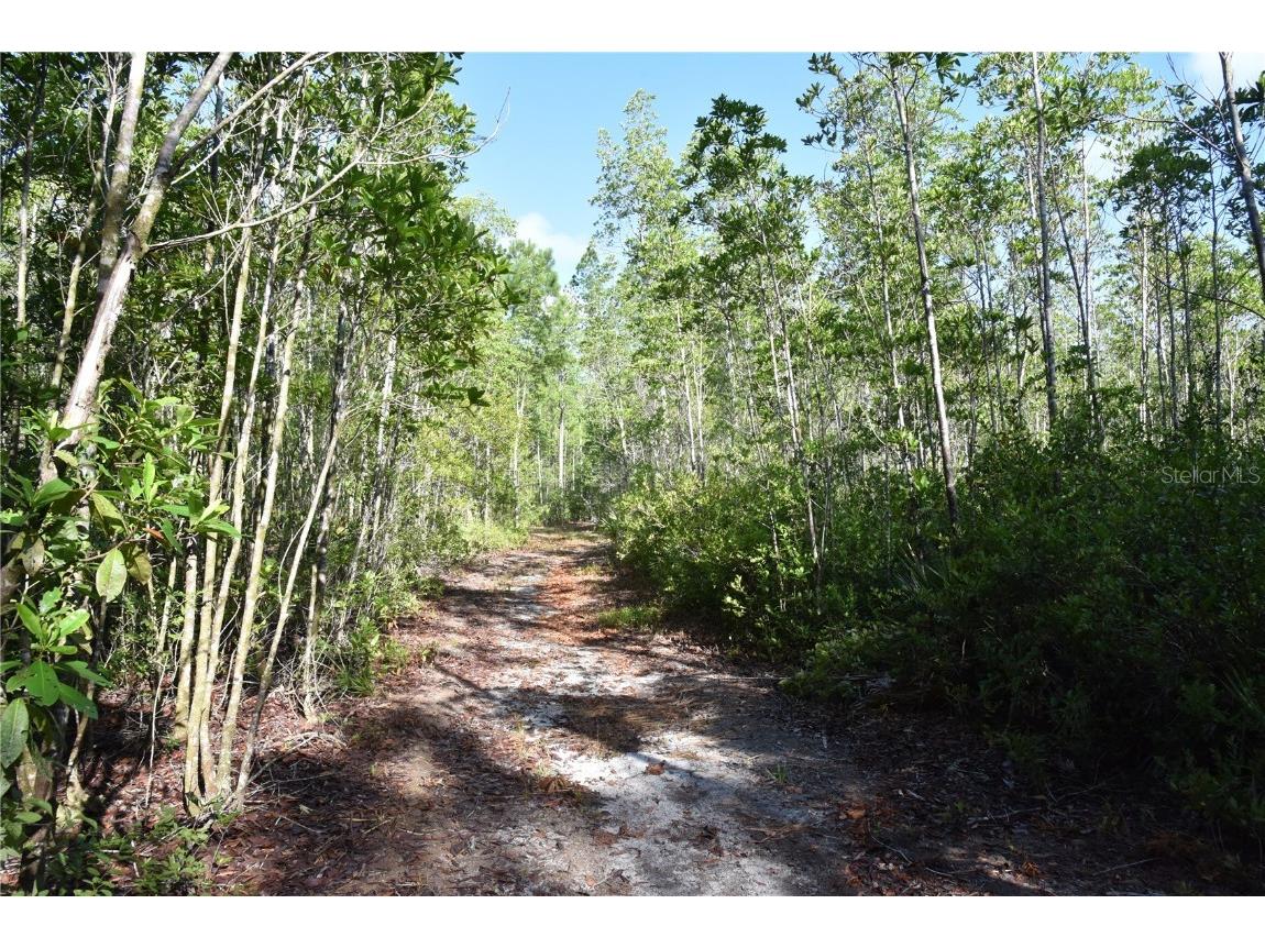 Off Ne 67 Th Ave Gainesville FL 32609 OM704545 image90