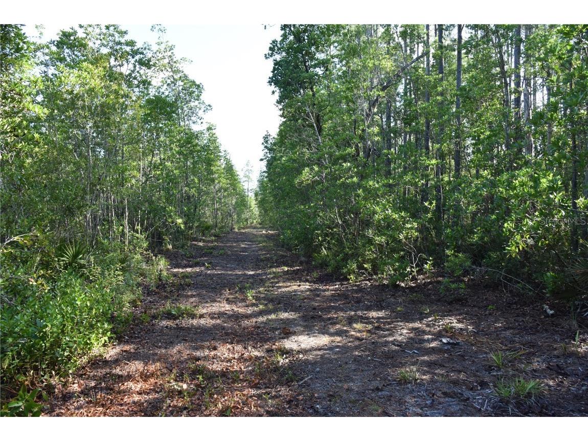 Off Ne 67 Th Ave Gainesville FL 32609 OM704545 image91