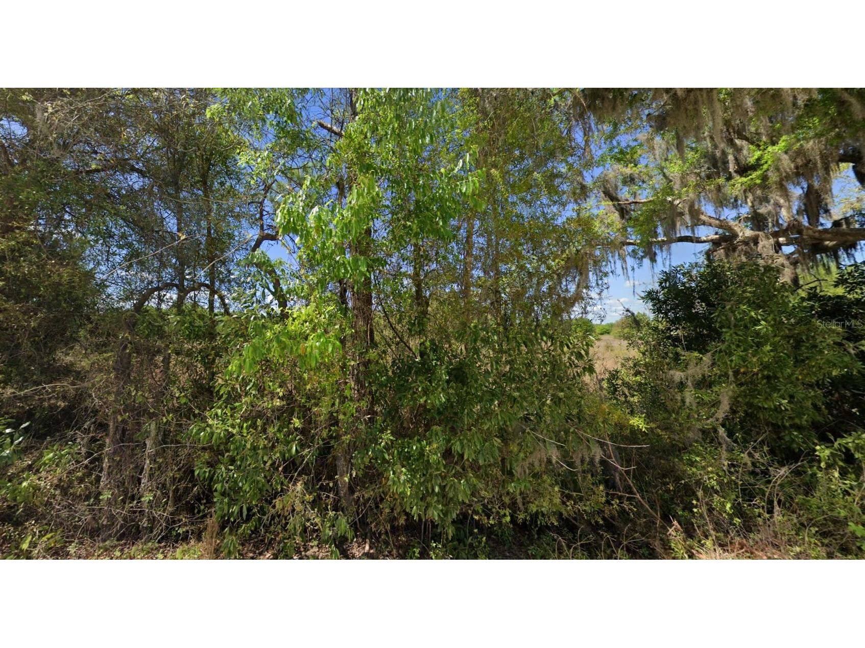 Off Nw Cr 138 #LOT 71 Branford FL 32008 D6147798 image4