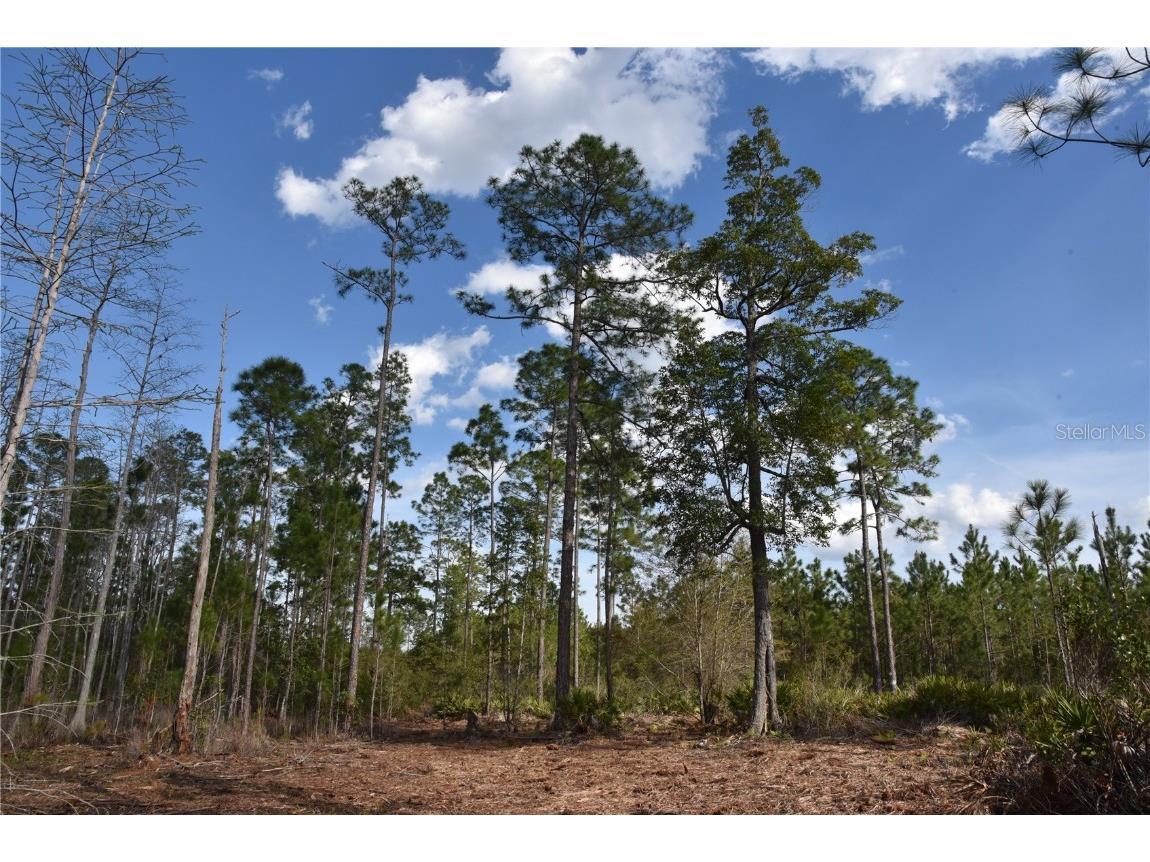 Off Sun Garden Rd Palatka FL 32177 OM698576 image1