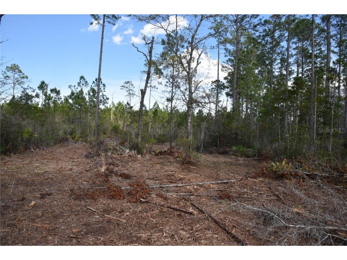 Off Sun Garden Rd Palatka FL 32177 OM698576 image10