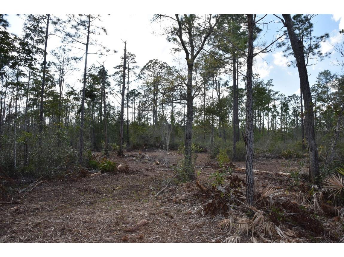 Off Sun Garden Rd Palatka FL 32177 OM698576 image11