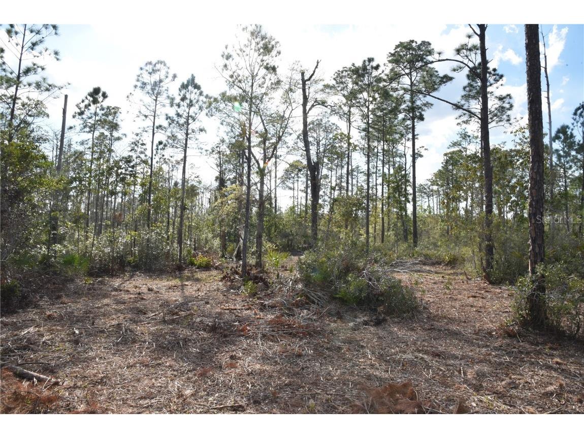 Off Sun Garden Rd Palatka FL 32177 OM698576 image12