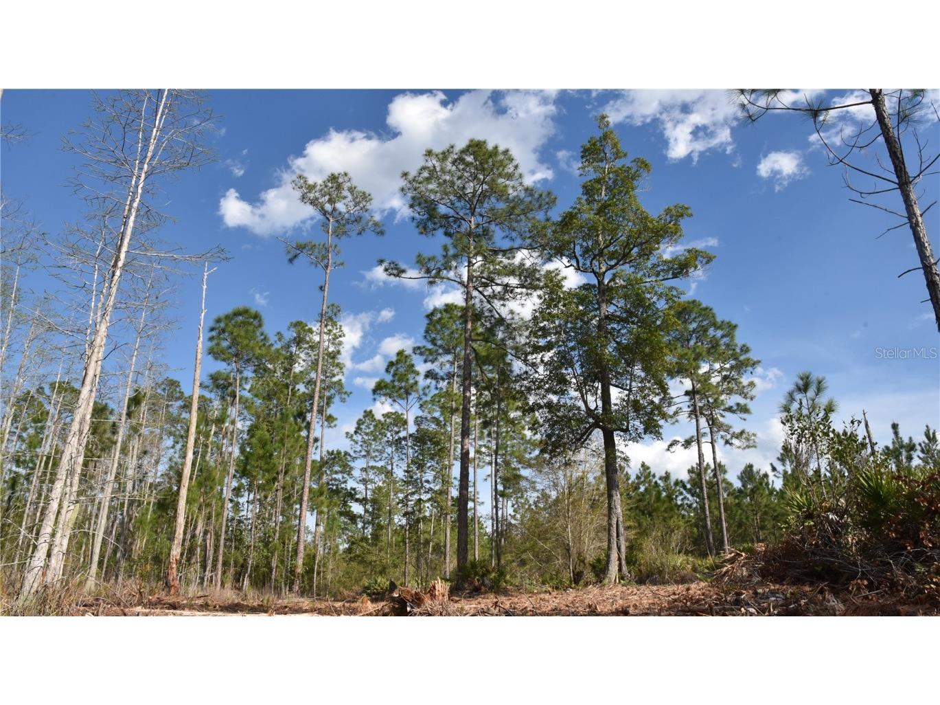 Off Sun Garden Rd Palatka FL 32177 OM698576 image13