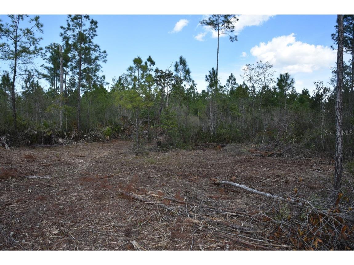 Off Sun Garden Rd Palatka FL 32177 OM698576 image15