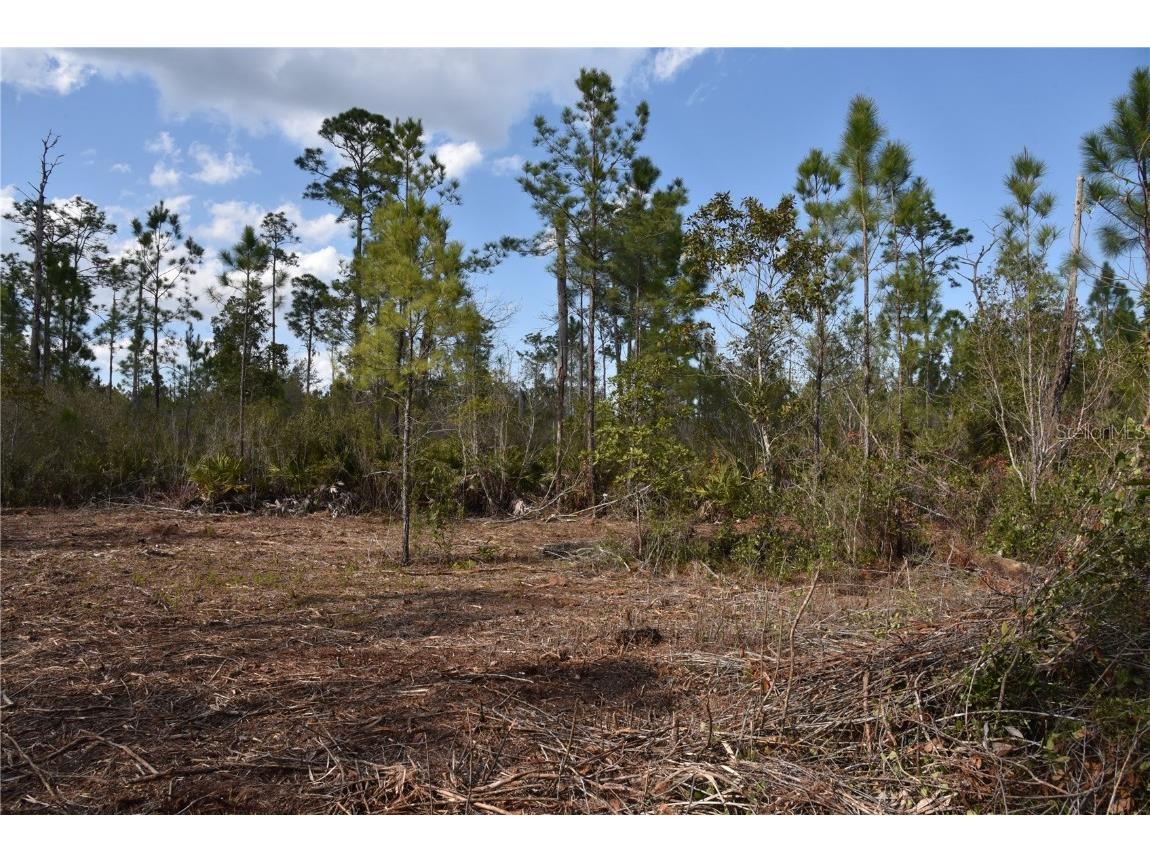 Off Sun Garden Rd Palatka FL 32177 OM698576 image16