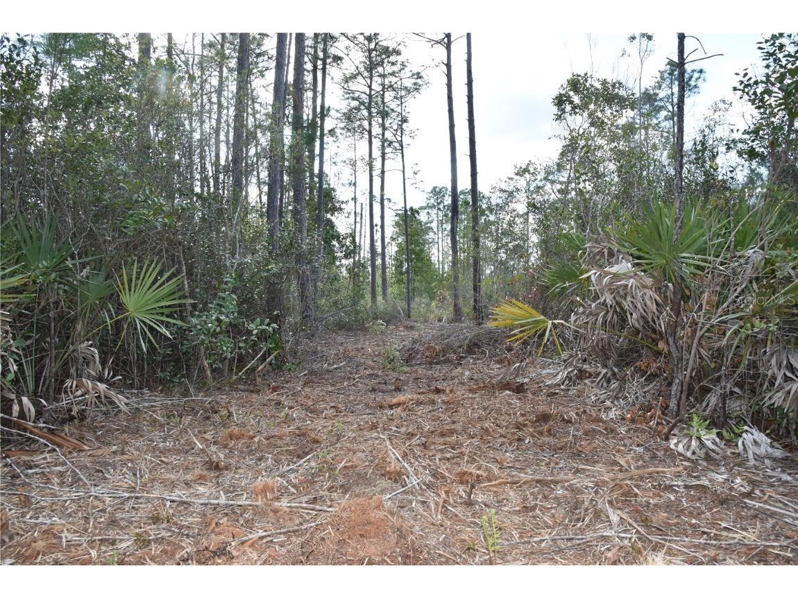 Off Sun Garden Rd Palatka FL 32177 OM698576 image17