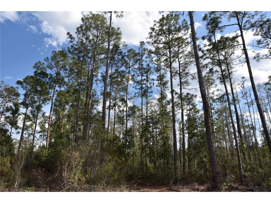 Off Sun Garden Rd Palatka FL 32177 OM698576 image2