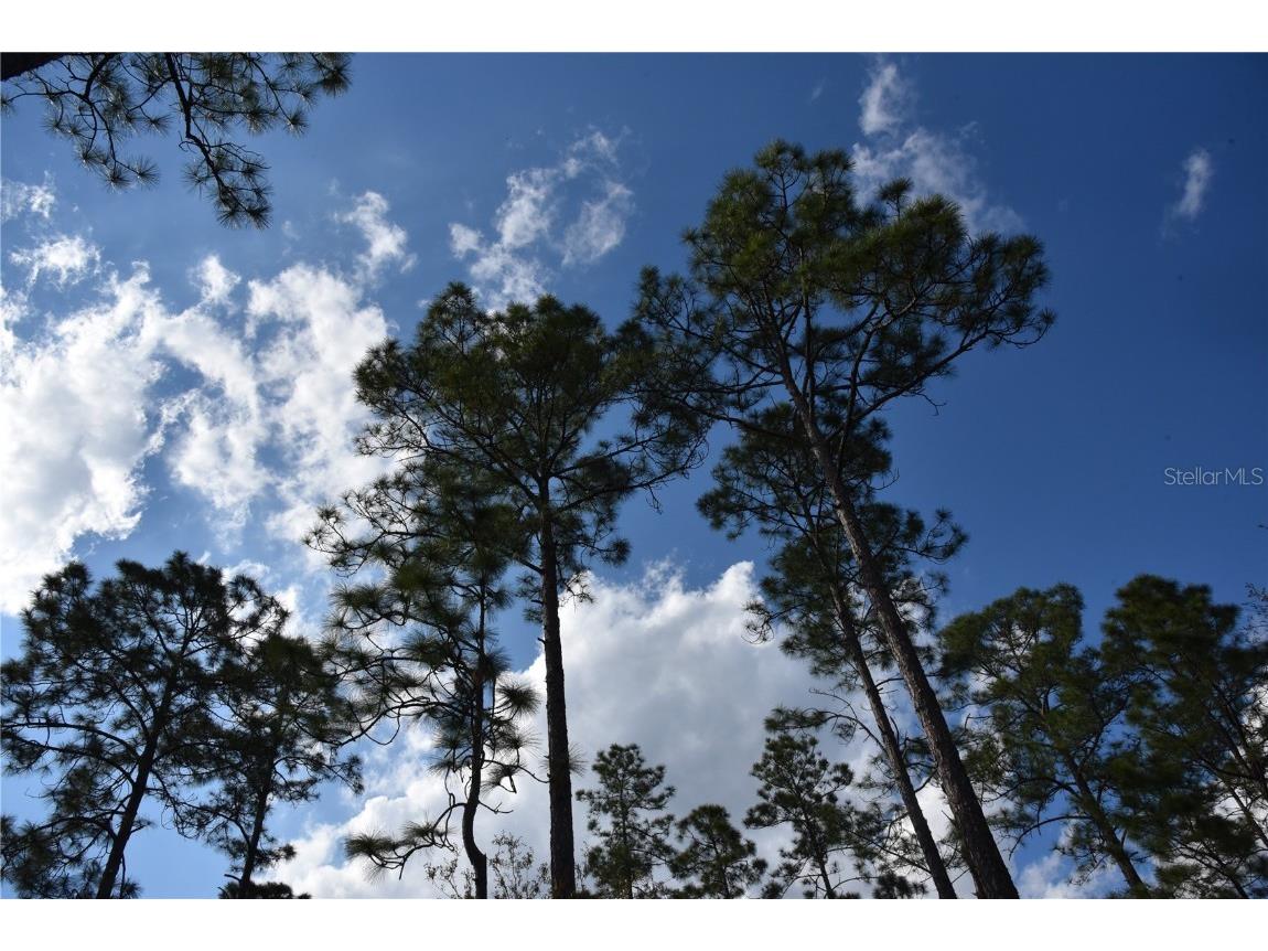 Off Sun Garden Rd Palatka FL 32177 OM698576 image21