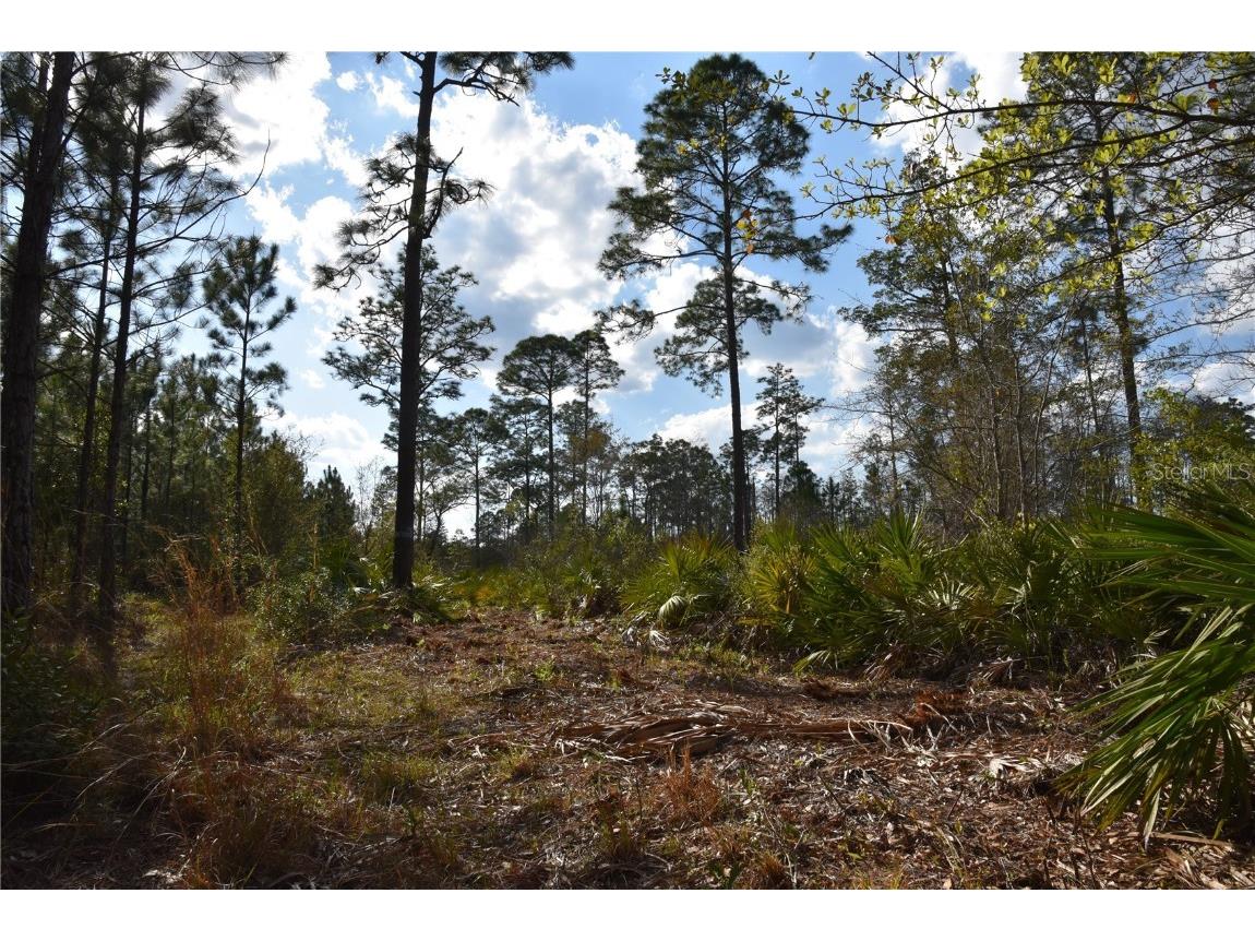 Off Sun Garden Rd Palatka FL 32177 OM698576 image22