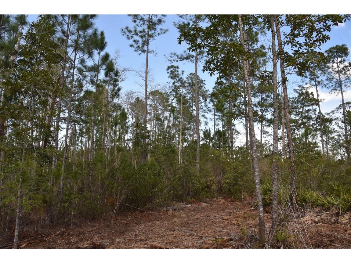 Off Sun Garden Rd Palatka FL 32177 OM698576 image24