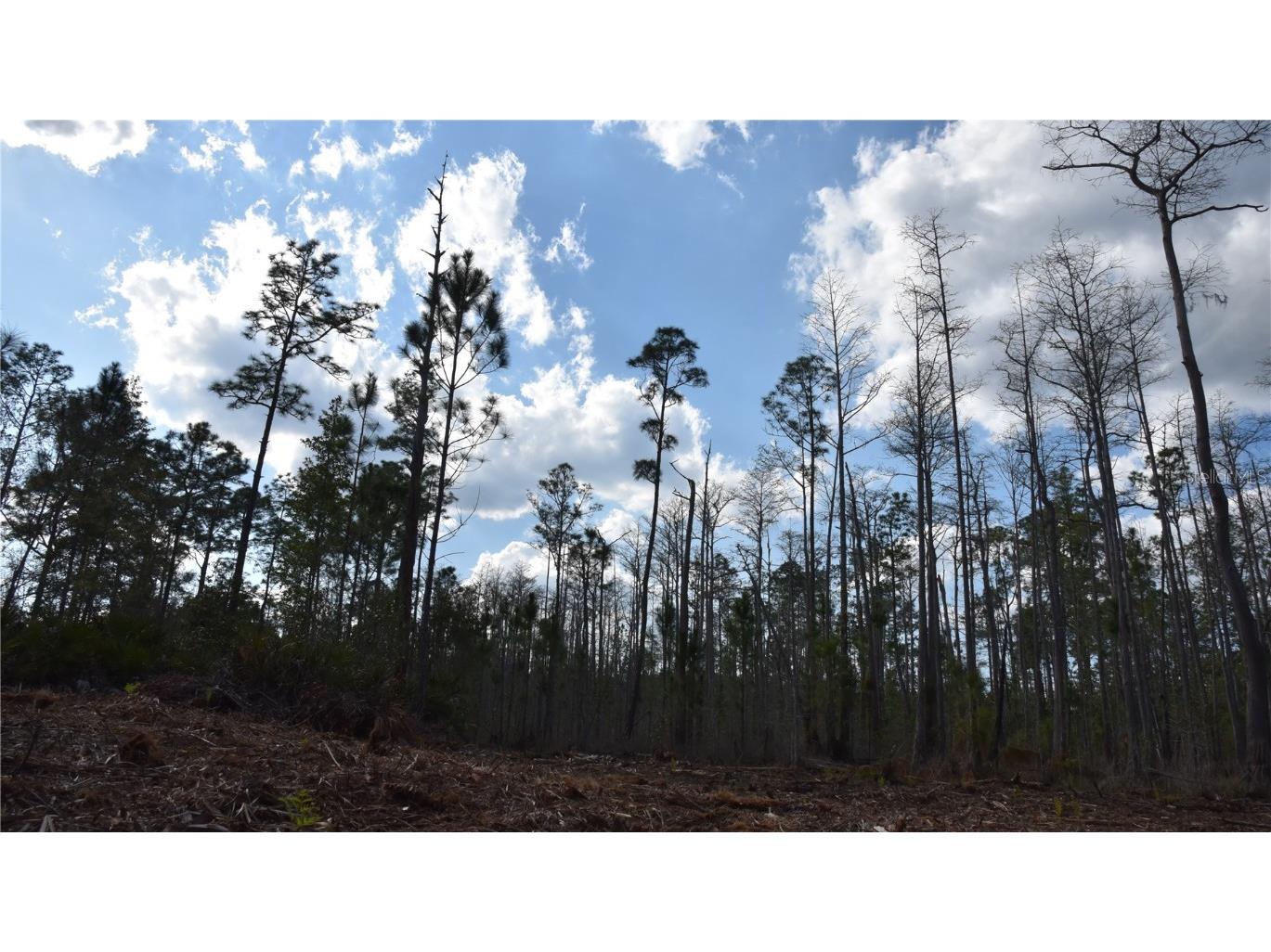 Off Sun Garden Rd Palatka FL 32177 OM698576 image25