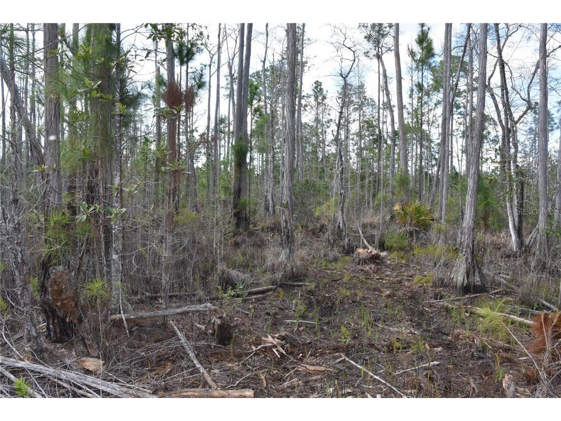 Off Sun Garden Rd Palatka FL 32177 OM698576 image26