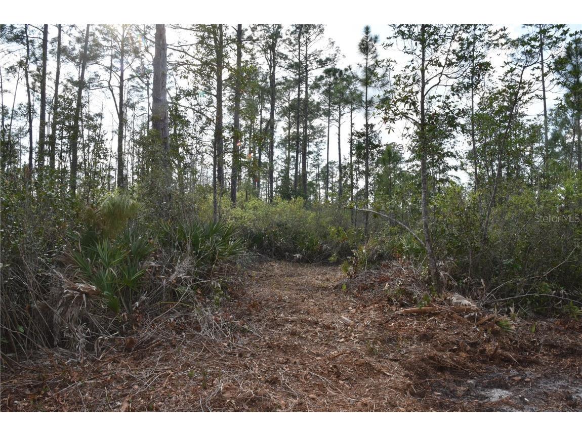 Off Sun Garden Rd Palatka FL 32177 OM698576 image27