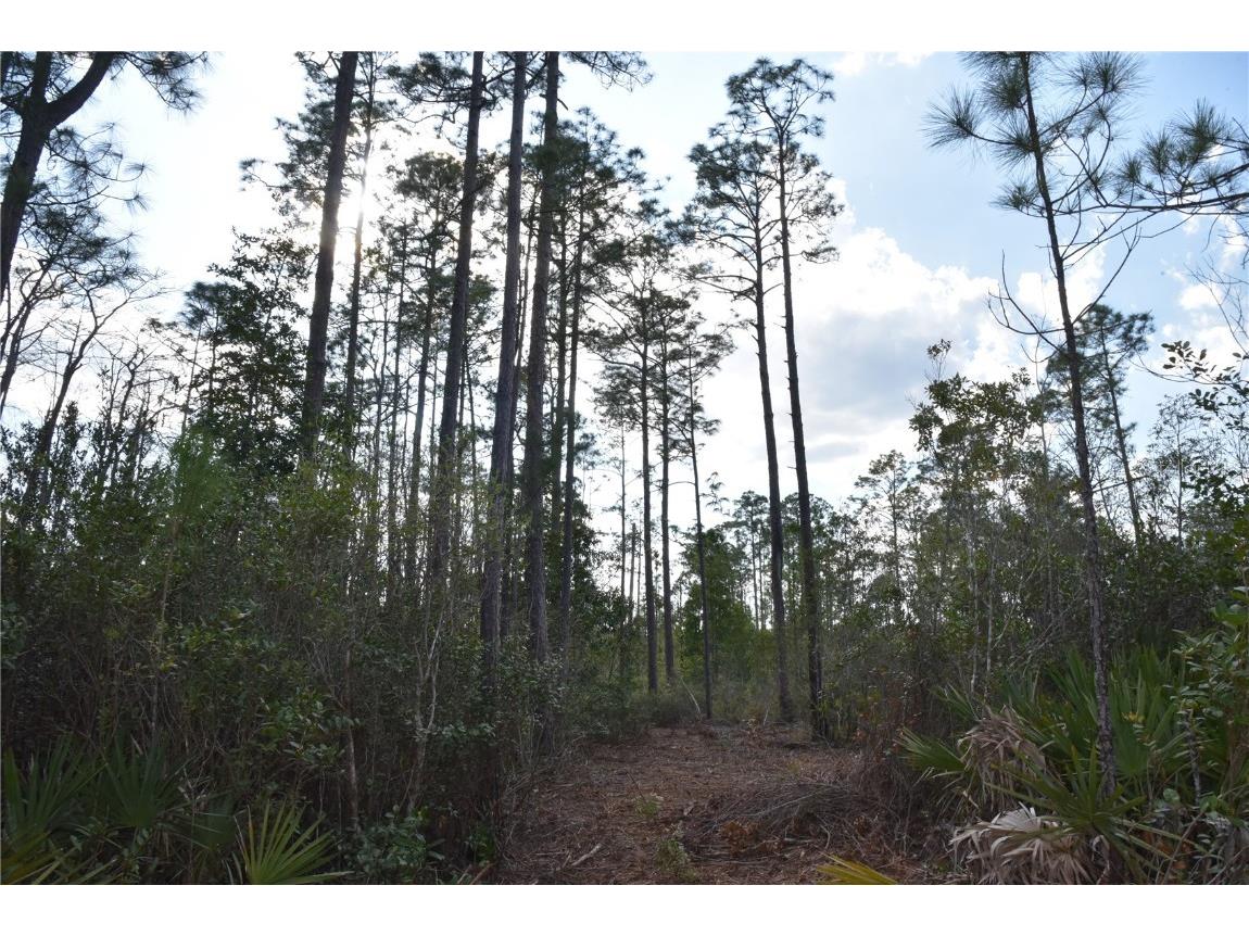 Off Sun Garden Rd Palatka FL 32177 OM698576 image28