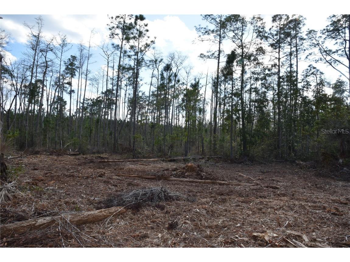 Off Sun Garden Rd Palatka FL 32177 OM698576 image3