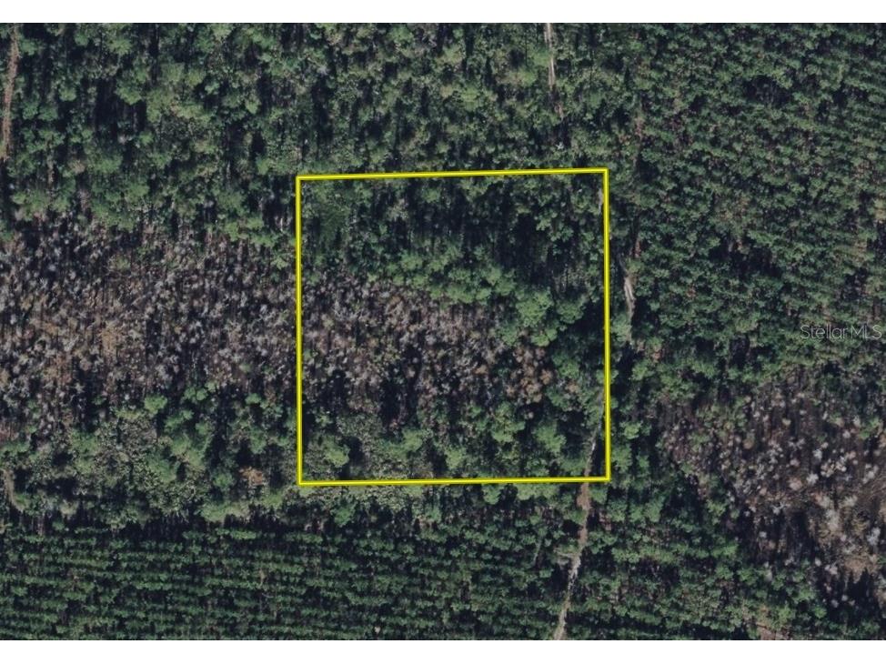 Off Sun Garden Rd Palatka FL 32177 OM698576 image4