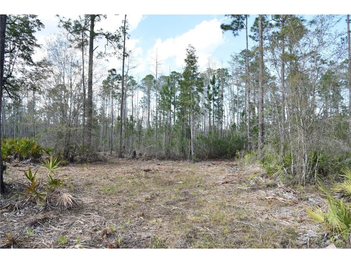 Off Sun Garden Rd Palatka FL 32177 OM698576 image5
