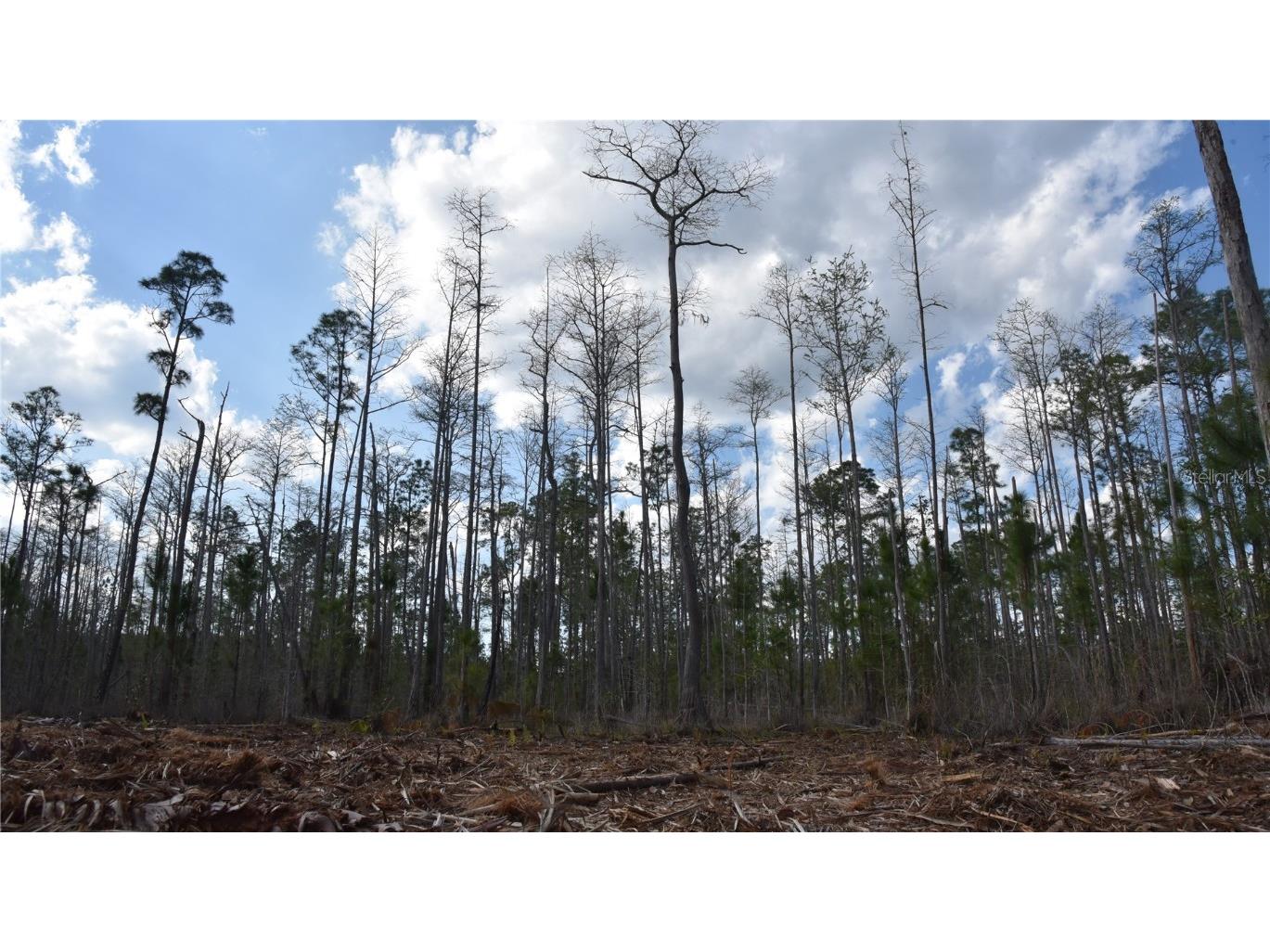 Off Sun Garden Rd Palatka FL 32177 OM698576 image7